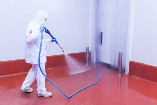 Best Solar Panel Cleaning  in Magnolia, AR