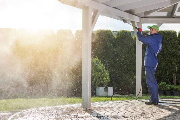 Best Roof Washing  in Magnolia, AR