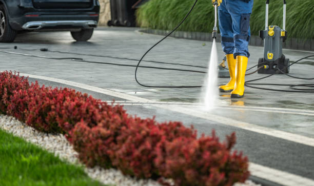 Best Dumpster Area Cleaning  in Magnolia, AR